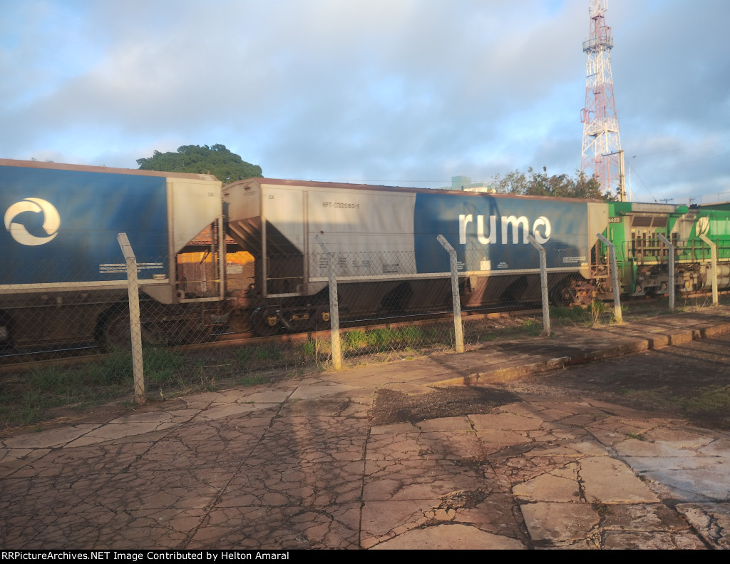 RUMO HPT-033580-1